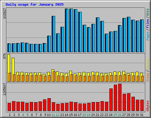 Daily usage for January 2025