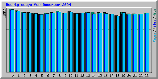 Hourly usage for December 2024