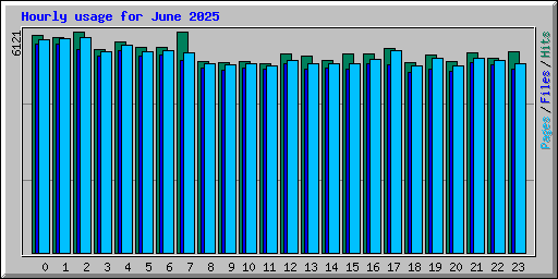Hourly usage for June 2025